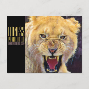 Cartão Postal Lioness [Cartão postal]