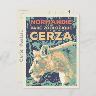 Cartão Postal Lioness, Parque Zoológico Cerza na Normandia Franç