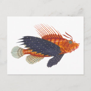 Cartão Postal Lionfish - Pterois - Engrenagem Antiquada de Peixe