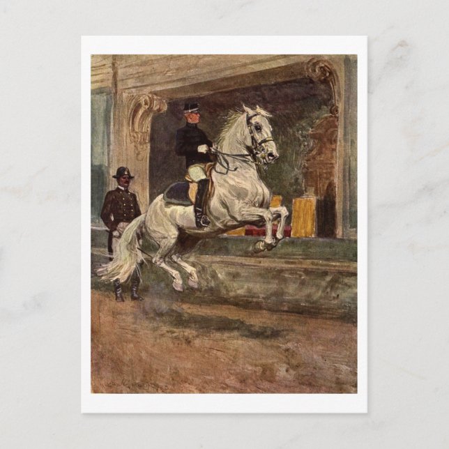 Cartão Postal Lipizzan Dressage (Frente)