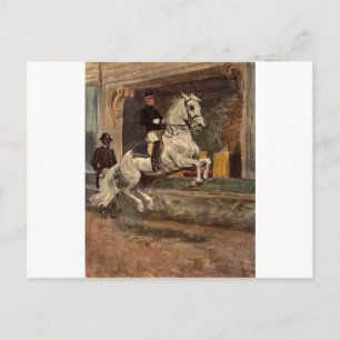 Cartão Postal Lipizzan Stallion Dressage