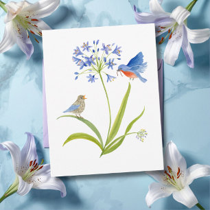 Cartão Postal Lírio Africano com Mãe e Filhote de Pássaro Azul