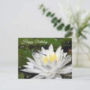 Cartão Postal Lírio de Água Branco, Aniversário do Libélula Azul