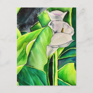 Cartão Postal Lírio-de-água branco aquarela floral tropical