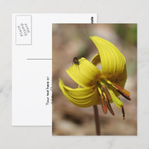 Cartão Postal Lírio de Truta Selvagem Flor e Amigo Personalizado