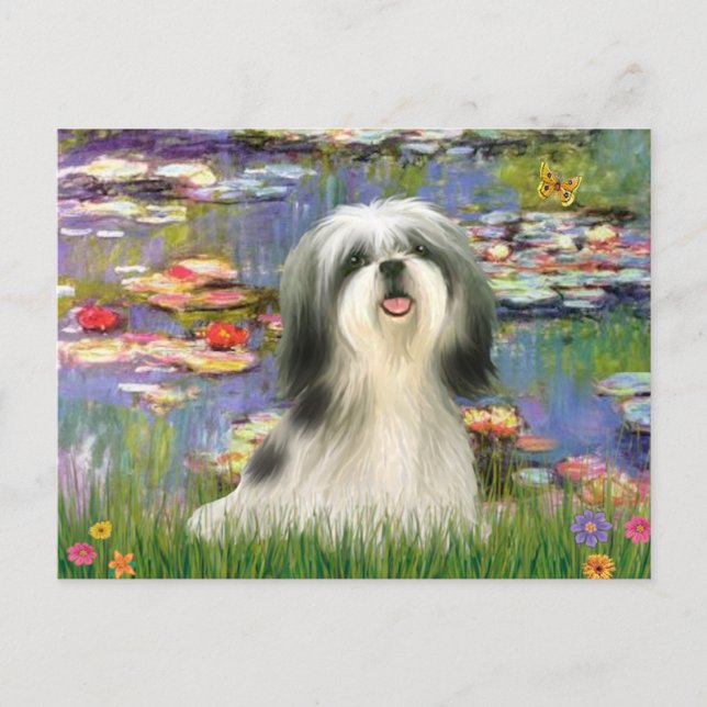 Cartão Postal Lírios (#2) - Shih Tzu #3 (Frente)