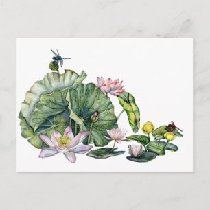 Cartão Postal Lírios de água japoneses e Flores de Lotus