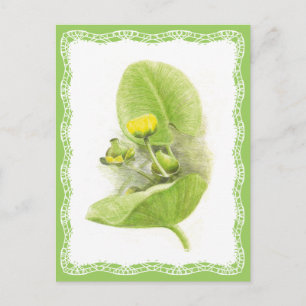 Cartão Postal Lírios de flores