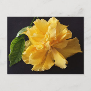 Cartão Postal Lisa 1 - brainfarte educado