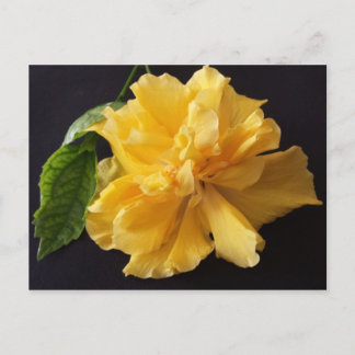 Cartão Postal Lisa 1 - brainfarte educado