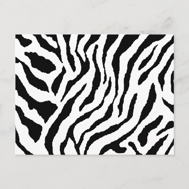 Cartão Postal Listrado de Zebra (Frente)