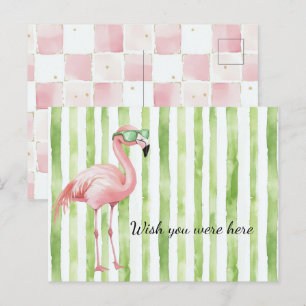 Cartão Postal Listras Brancas Verdes Flamingo Rosa Praia
