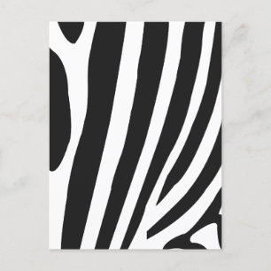 Cartão Postal Listras de Zebra Preta e Branca