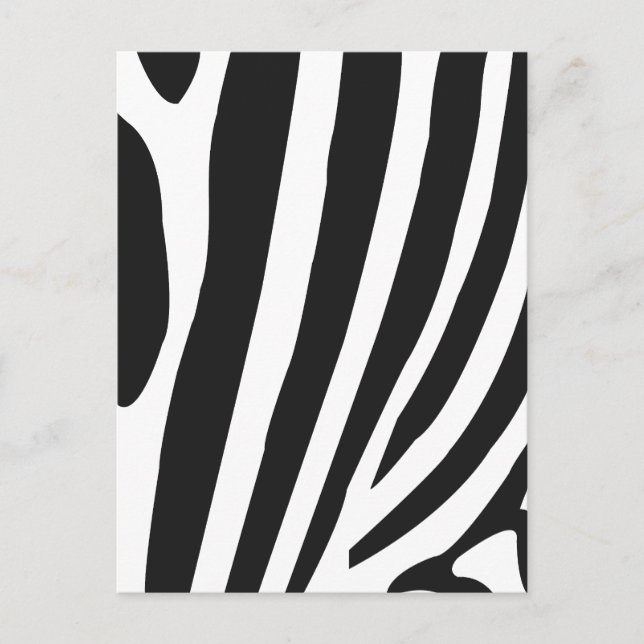 Cartão Postal Listras de Zebra Preta e Branca (Frente)