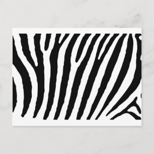 Cartão Postal Listras Pretas e Brancas de Zebra