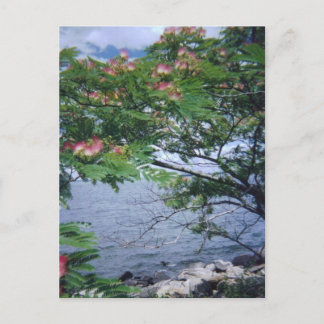 Cartão Postal Little Bay Park, Queens, NY