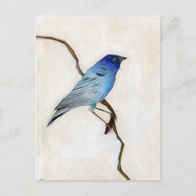 Cartão Postal Little Blue 2012 (Frente)