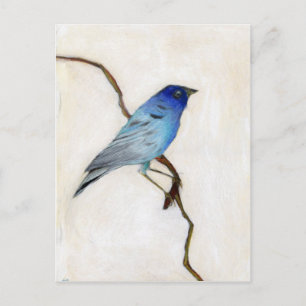 Cartão Postal Little Blue 2012