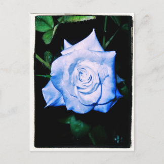 Cartão Postal Little Blue Princess