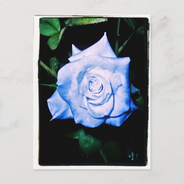 Cartão Postal Little Blue Princess (Frente)