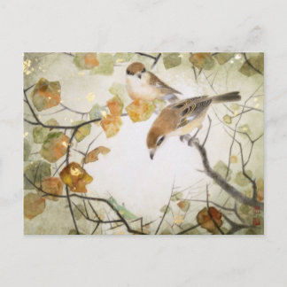 Cartão Postal Little Creature-Bull-headed Shrikes Postcard