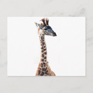 Cartão Postal "Little Giraffe" Selvagem