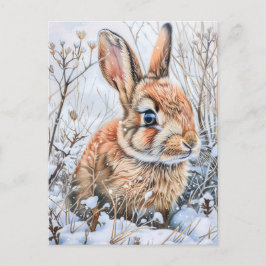 Cartão Postal Little Hare em Snowy Field. Rabbit Bunny