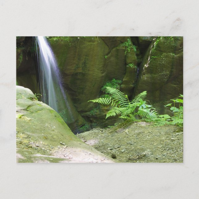 Cartão Postal Little Lyons Falls, Parque Estadual de Mohican, Oh (Frente)