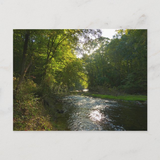 Cartão Postal Little Patuxent River de Savage Park (Frente)