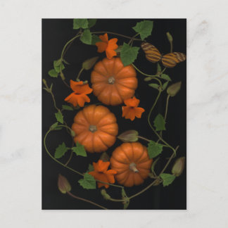 Cartão Postal little pumpkins