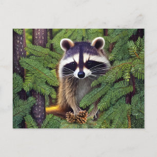 Cartão Postal Little Woodland Wilderness Raccoon