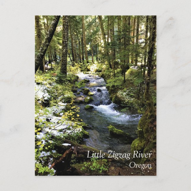 Cartão Postal Little Zigzag River, Oregon Postcard (Frente)