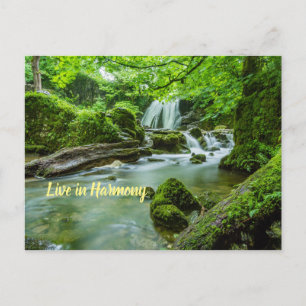 Cartão Postal Live in Harmony