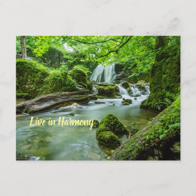 Cartão Postal Live in Harmony (Frente)