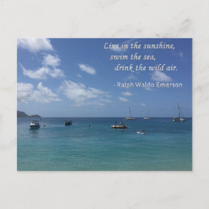 Cartão Postal Live in the sunshine Postal