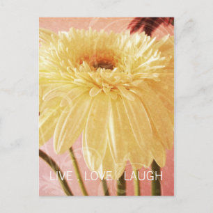 Cartão Postal Live Love Laugh Gerbera Flower Light Grunge