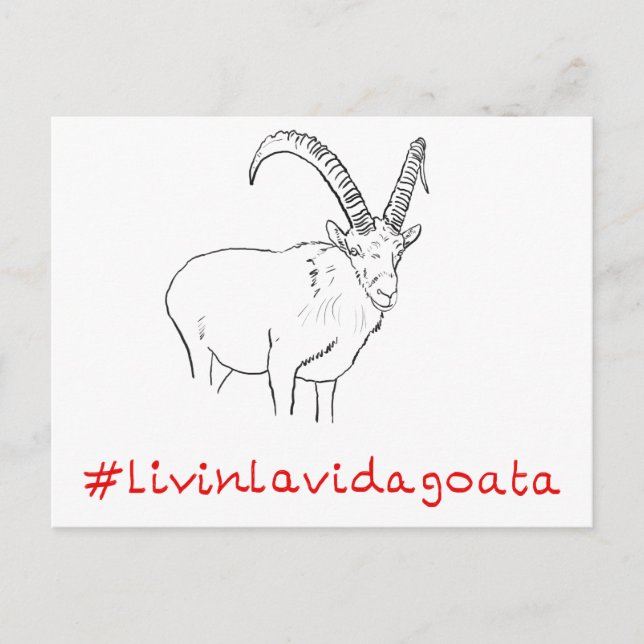 Cartão Postal Livin La Vida Goata Engraçado Slogan de Arte Goat  (Frente)