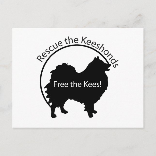 Cartão Postal Livre o Kees! (Frente)