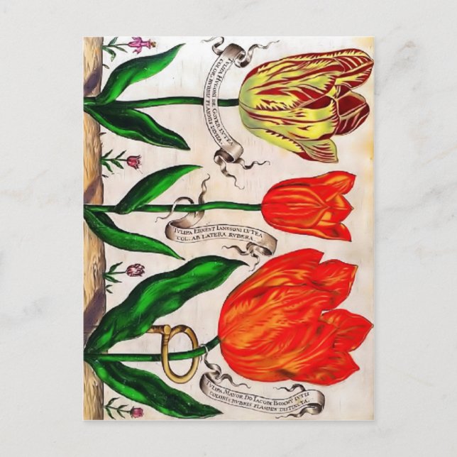 Cartão Postal Livres De Fleurs (Frente)