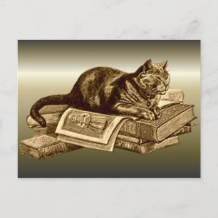 Cartão Postal Livros de Leitura de Gatinhos