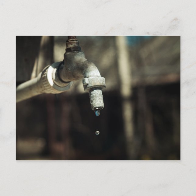 Cartão Postal Lixo de água macro (Frente)