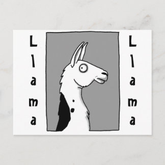 Cartão Postal Llama