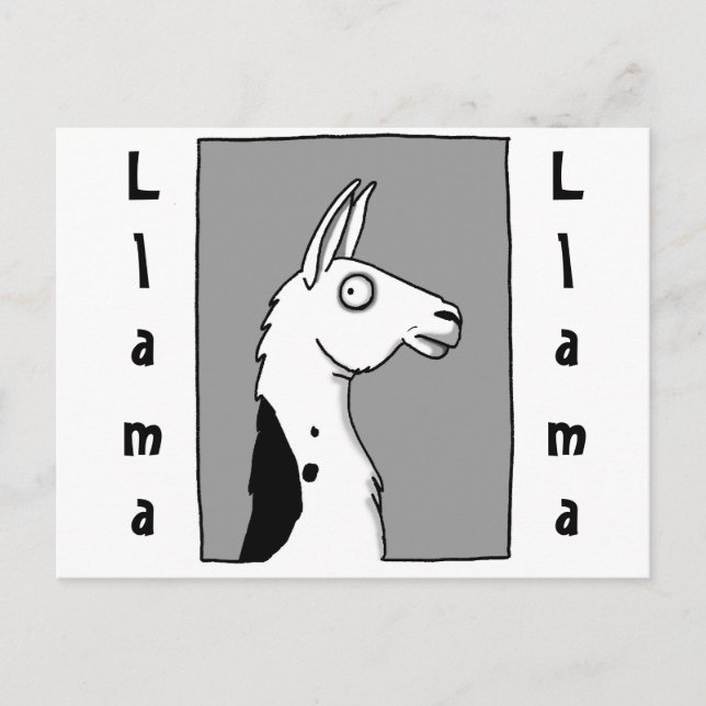 Cartão Postal Llama (Frente)
