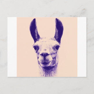 Cartão Postal Llama