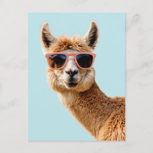 Cartão Postal Llama Bonito Com Óculos De Sol