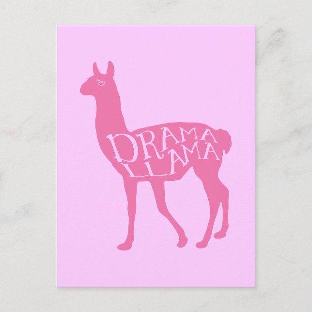 Cartão Postal Llama de Drama Rosa (Frente)