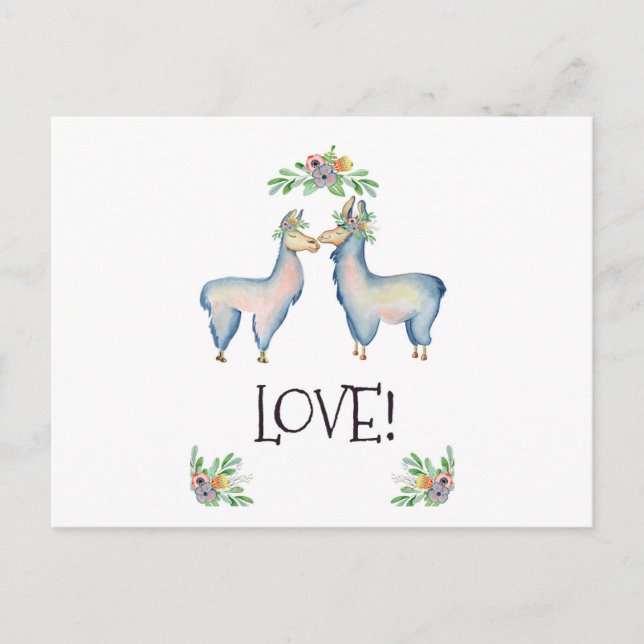 Cartão Postal Llama está apaixonado (Frente)