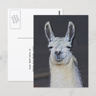 Cartão Postal Llama Face Animal Arte Personalizado