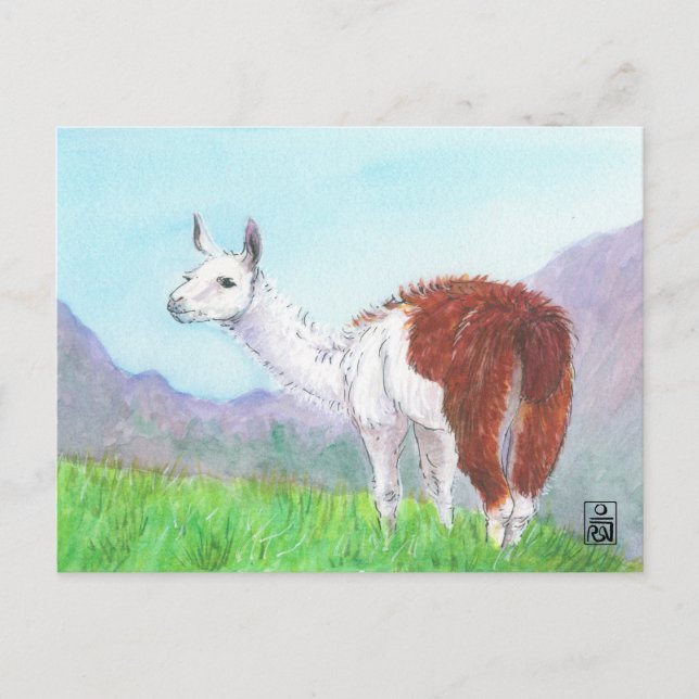 Cartão Postal Llama nos Andes (Frente)