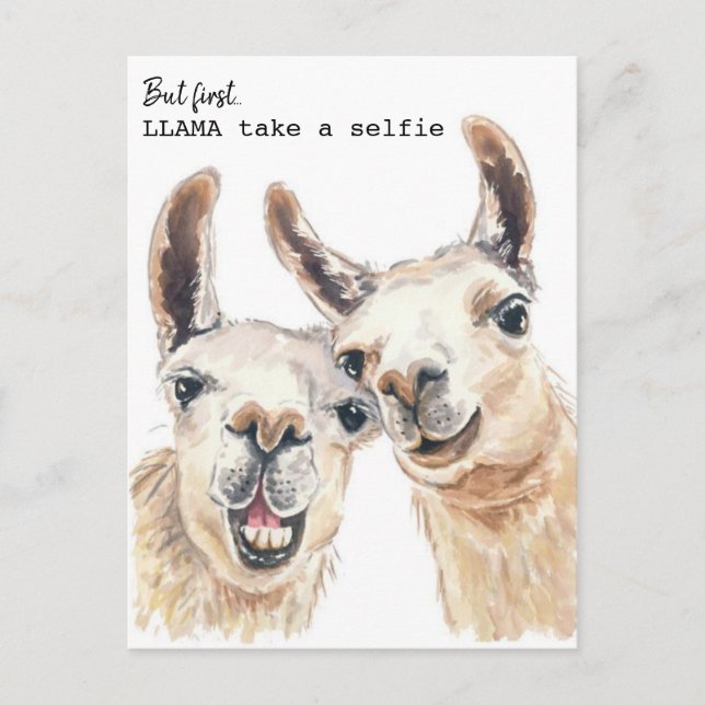 Cartão Postal Llama Puns Postcard - Lllama toma uma selfie (Frente)